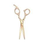 Ciseaux de Coiffure