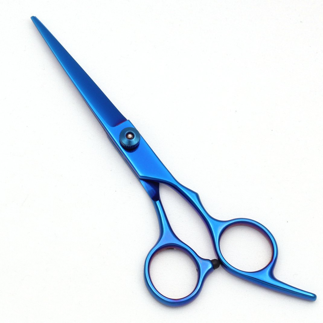 Ciseaux-de-coiffure-6-pouces-picture-7