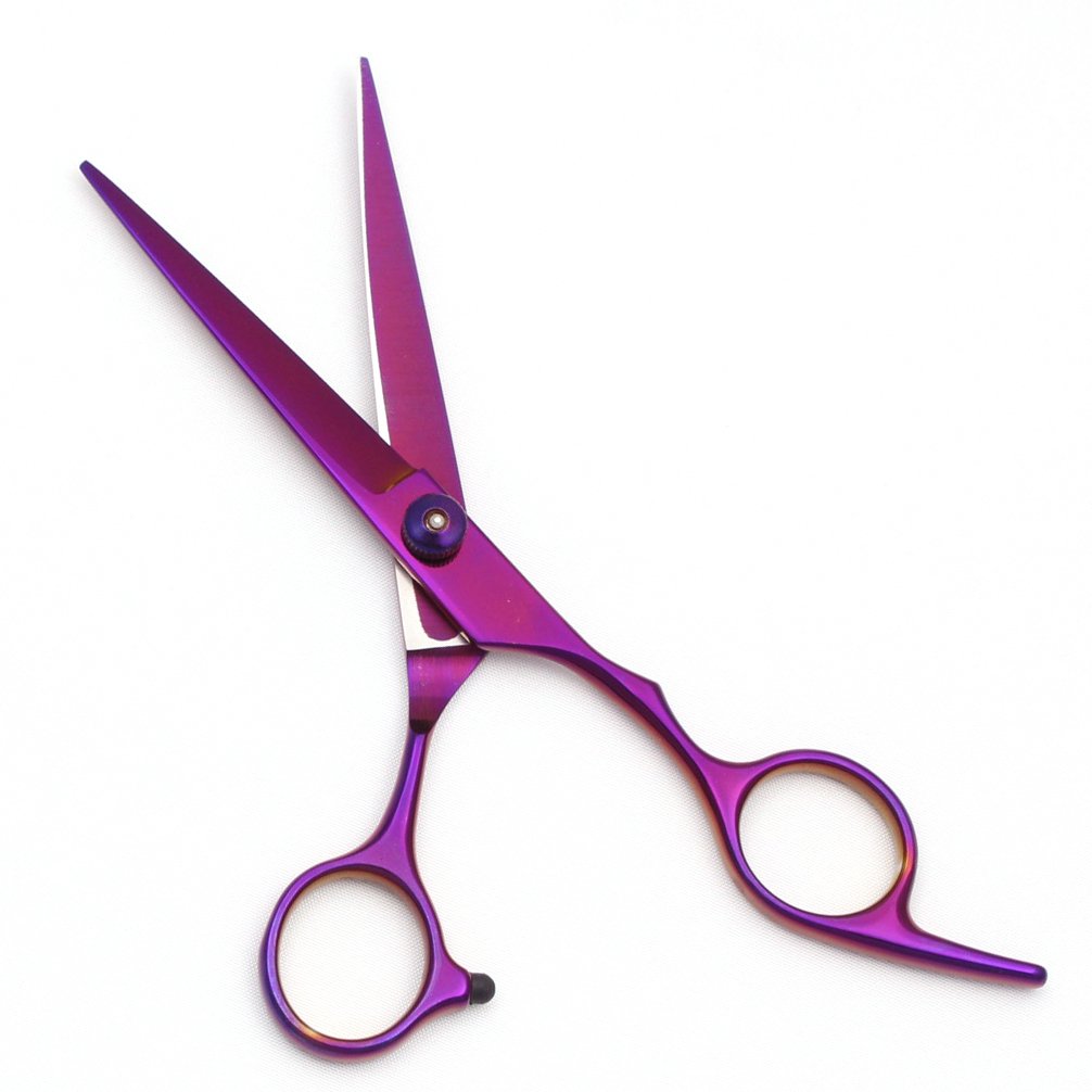 Ciseaux-de-coiffure-6-pouces-picture-8