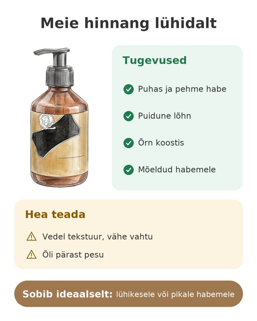 Meie hinnang lühidalt: habemešampoon: tugevused, tähelepanekud ja ideaalne kasutus
