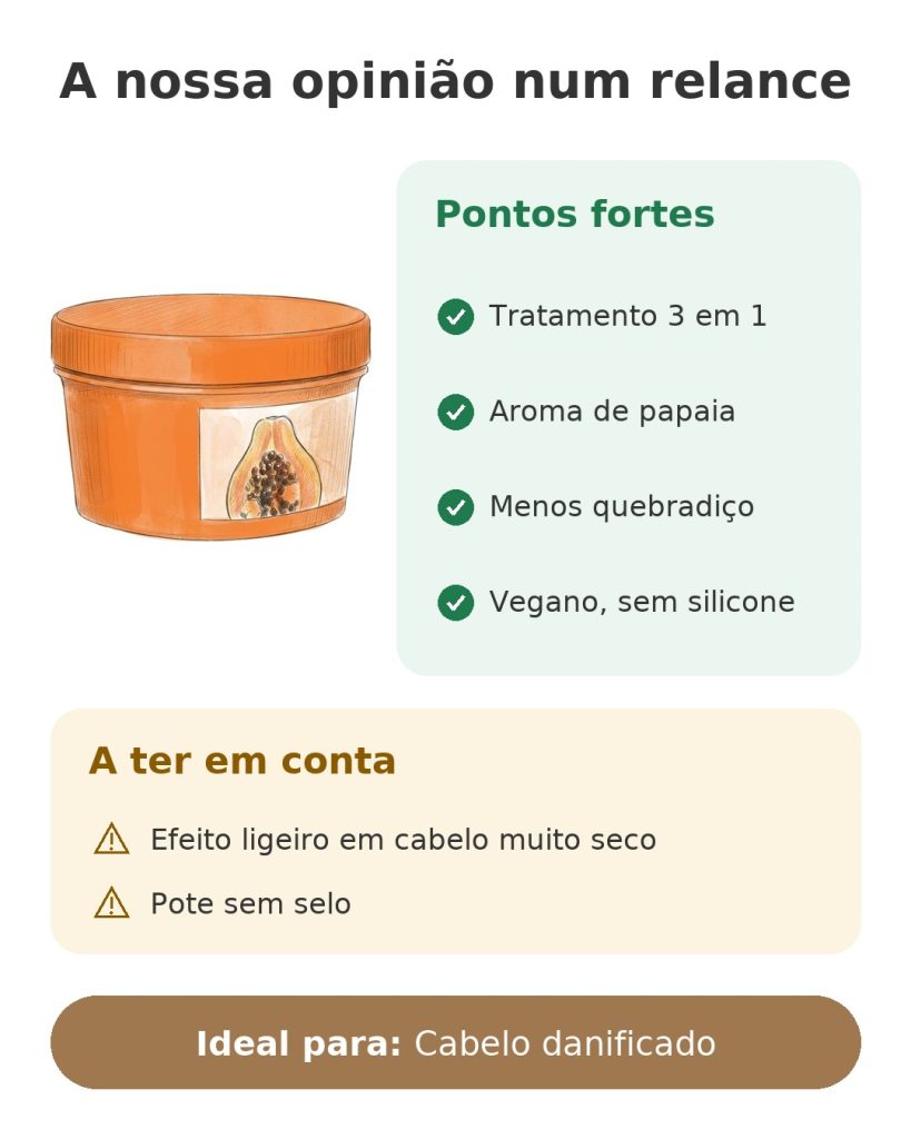 A nossa opinião num relance sobre a máscara de papaia da Garnier
