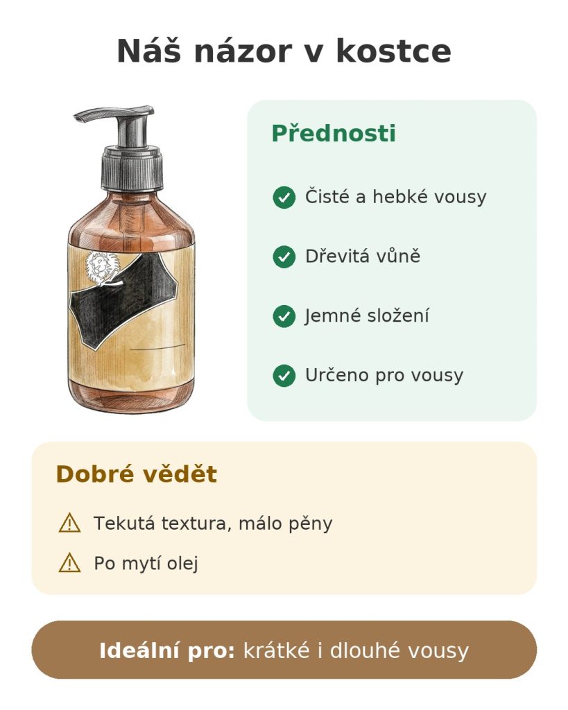 Náš názor v kostce na šampon na vousy: silné stránky, na co dát pozor a ideální použití