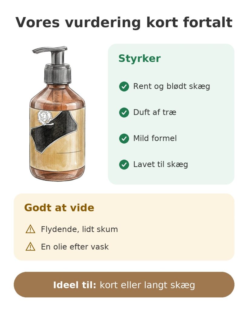 Vores vurdering kort fortalt af skægshampoo: styrker, ting at vide og ideel brug