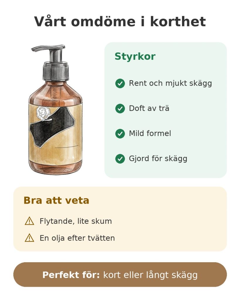Vårt omdöme i korthet om skäggschampo: styrkor, att tänka på och idealisk användning